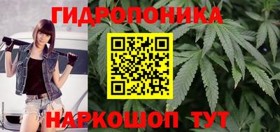 крисы Татарск